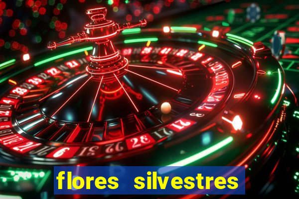 flores silvestres desbravadores desbravadores 25